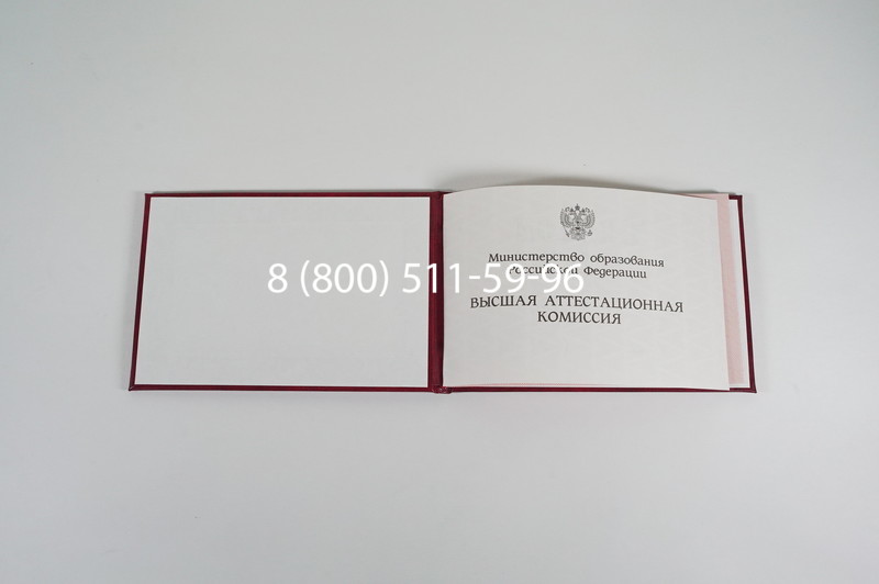 Диплом доктора наук 1995-2006 года в Люберцах Диплом доктора наук 1995-2006 года в Люберцах