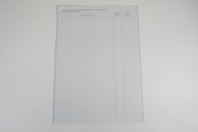 Диплом о начальном образовании 2007-2009 годов в Люберцах Диплом о начальном образовании 2007-2009 годов в Люберцах