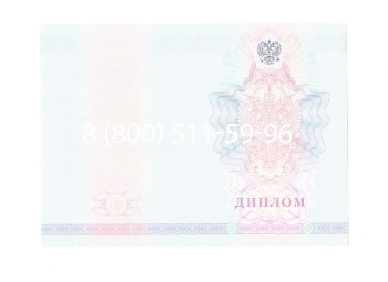 Заказать Диплом техникума 2007-2010 годов в Люберцах