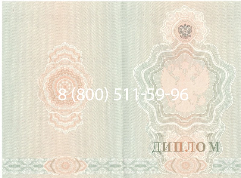 Купить Диплом училища 2007-2009 годов в Люберцах
